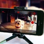 “Transforma tu celular en cámara de vigilancia casera”