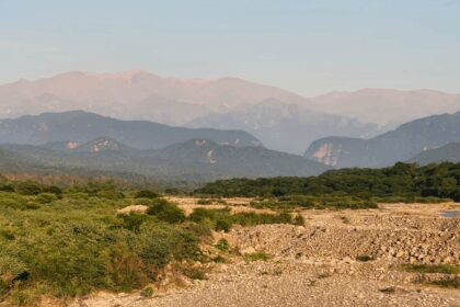 “Preservación de bosques y comunidades en Jujuy con Blockchain”