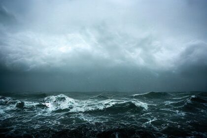 “Bitcoin: Rumbo a la tormenta del mercado”