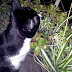 Lou en la noche de la superluna