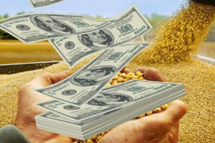 “Alerta: Tesoro vende el 60% de dólares comprados por liquidación del agro”