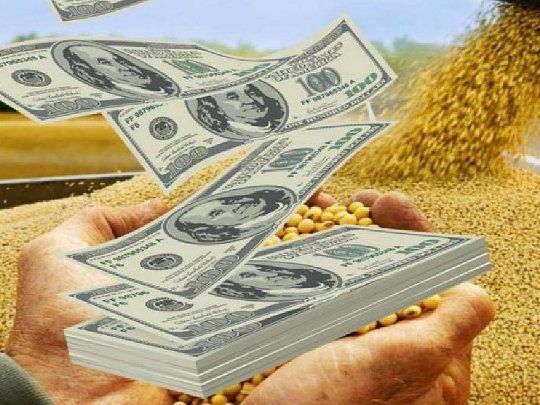 El Tesoro ya vendió el 60% de lo que adquirió gracias a las retenciones 0, aseguran desde la city.