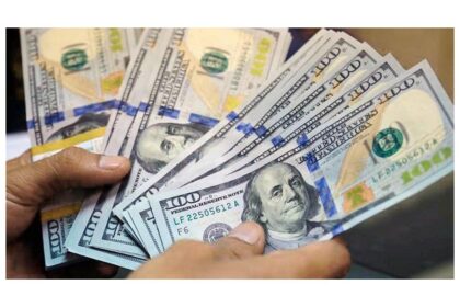 “Alza del dólar blue: brecha con oficial en máximos”