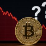“Descubre el impacto de la caída de bitcoin en el mercado”