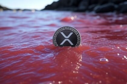 “Análisis: Soportes clave para el precio de XRP”