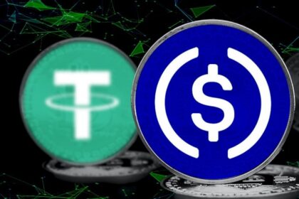 “USDC vs USDT: ¿Quién reinará en el mundo de las criptomonedas?”