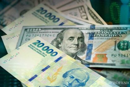 “Salario en dólares: el más alto de la región con brecha crítica persistente”