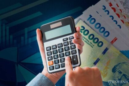 VIDEO | Qué sueldo cobran los argentinos: revelaron la “teoría del palo y medio”