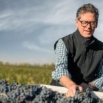 El sector vitivinícola tracciona empleo técnico en Cuyo para la vendimia 2026