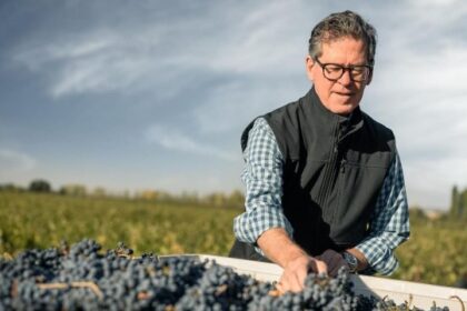 El sector vitivinícola tracciona empleo técnico en Cuyo para la vendimia 2026