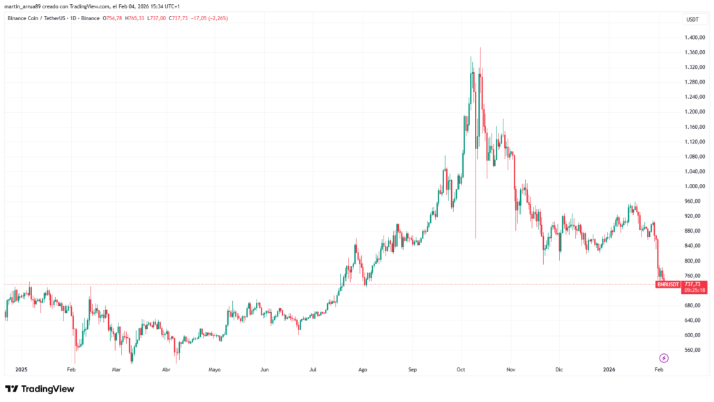 Gráfico de precio de la criptomoneda BNB. 