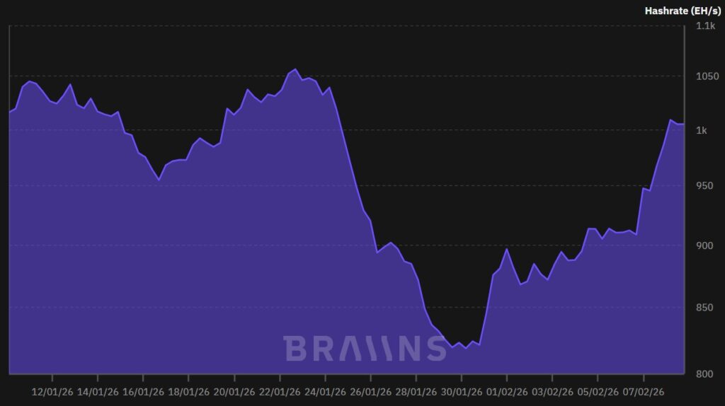 Evolución del hashrate Bitcoin entre enero y febrero 2026.  
