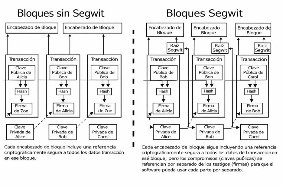 gráfico que muestra cómo cambian las transacciones en bloques con SegWit en comparación con los bloques sin Segwit.