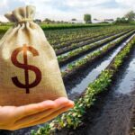 La guerra en Medio Oriente ya impacta en el campo argentino: qué pasa con los granos