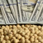 La soja sufrió su mayor caída diaria desde 2023 y sacudió al mercado de granos