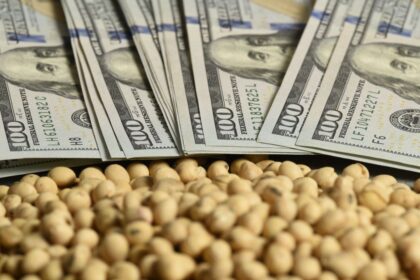 La soja sufrió su mayor caída diaria desde 2023 y sacudió al mercado de granos