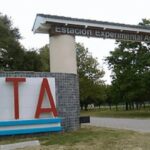 Ajuste en el INTA: 1500 puestos en riesgo con un plan de retiros que empieza en abril