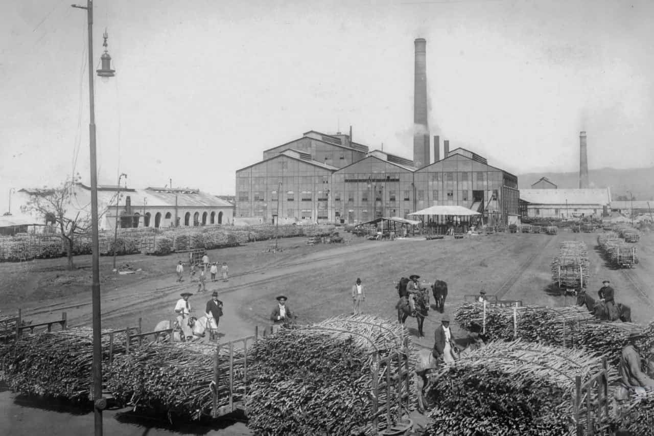 Ledesma en sus inicios