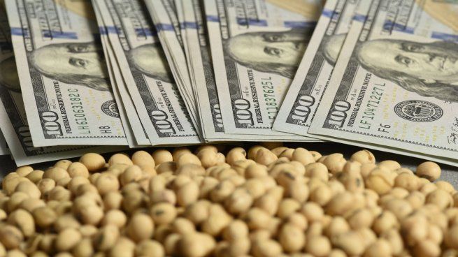 La soja se derrumbó 6,1% y cerró en u$s424,47 por tonelada.