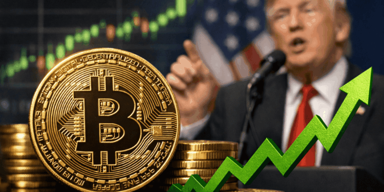 En primer plano: moneda de bitcoin con flechas verdes que indican subida de precio. En el fondo: el presidente Donald Trump hablando.