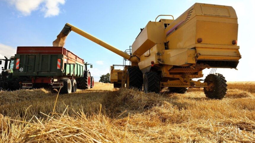 La guerra en Medio Oriente golpea al campo argentino: estiman que más del 60% de la ganancia se va a impuestos