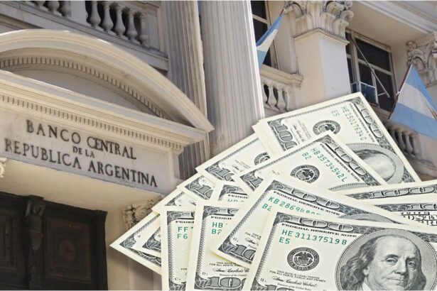 ¿No se va ningún dólar de Argentina? Advierten que el BCRA busca ponerle un piso y frenar la fuga de divisas