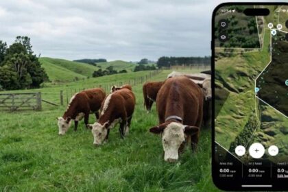 Chau alambrados: startup revoluciona el campo con cercas virtuales y manejo de vacas por celular