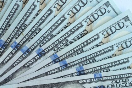 El dólar blue sumó su segunda semana consecutiva al alza, pero acumula una caída mayor a $100 en el año