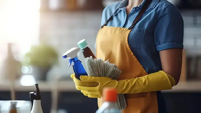 Cuánto cobra una empleada doméstica en mayo 2026 según la categoría y si trabaja con o sin retiro