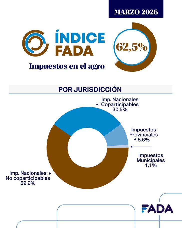 La guerra en Medio Oriente golpeó al campo argentino: estiman que más del 60% de la ganancia se va a impuestos La guerra en Medio Oriente golpeó al campo argentino: estiman que más del 60% de la ganancia se va a impuestos