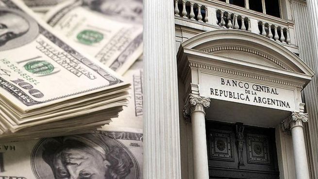 El BCRA informó que tras el cepo los argentinos compraron u$s374 millones en noviembre, un 91,27% menos que en octubre.