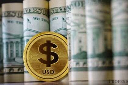 Nueva plataforma para “freelancers” elimina trabas bancarias y permite operar en dólares digitales