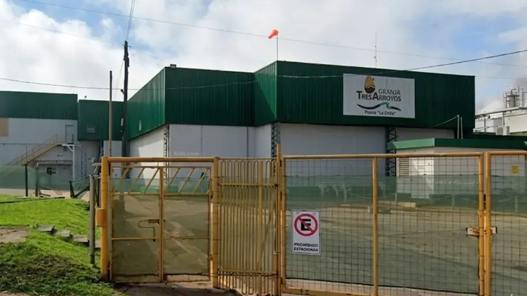Empresa líder del negocio del pollo cerró planta por tiempo indeterminado y hay 1.000 empleos en riesgo