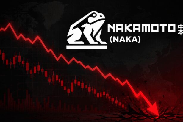 Nakamoto vendió 600 bitcoin para pagar una deuda