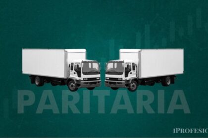Paritaria de Camioneros: cuánto cobrarán en julio y agosto con bono incluido