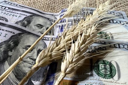 ¿Quedan dólares del agro? Los cálculos que hace el mercado sobre las divisas que todavía podrían ingresar