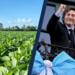La cosecha de soja rozó las 50 millones de toneladas y el campo cordobés vuelve a motorizar la economía