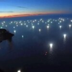 El Gobierno sancionó con más de $2.700 millones a dos buques chinos por pesca ilegal