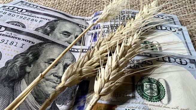 Cuántos dólares quedan por ingresar del agro, según dos informes económicos.