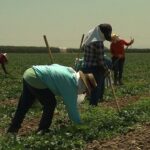 Nuevo sueldo rural UATRE: cuánto cobra un peón en agosto y qué aumentos faltan hasta octubre.