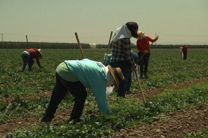 Nuevo sueldo rural UATRE: cuánto cobra un peón en agosto y qué aumentos faltan hasta octubre.