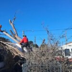 Registraron más de 1.400 llamados por un temporal de vientos fuertes en Córdoba