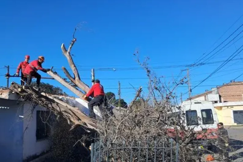 Registraron más de 1.400 llamados por un temporal de vientos fuertes en Córdoba
