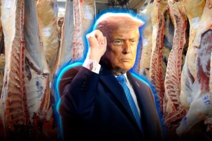 Trump terminó con el monopolio de los frigoríficos y habilitó que los ganaderos procesen y vendan su propia comida