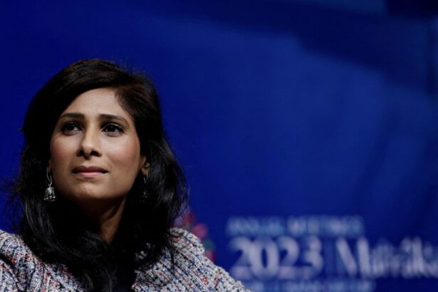 Gita Gopinath, ex subdirectora del FMI, elogió la gestión económica de Javier Milei y pidió mayor flexibilidad cambiaria