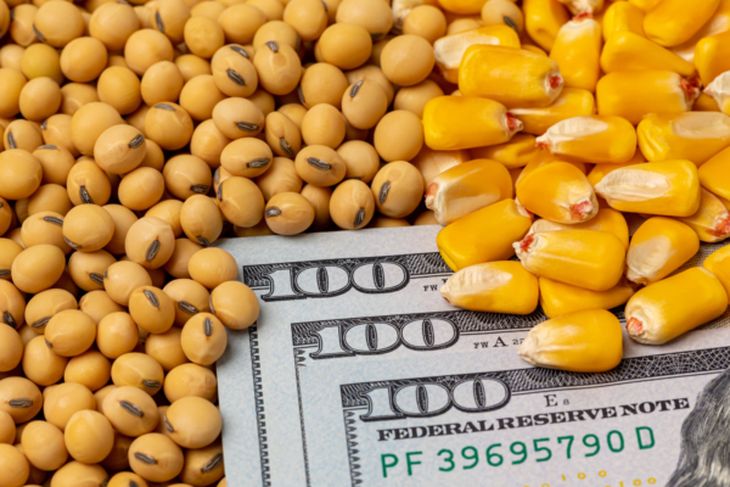 CORN y SOYB permiten seguir el precio internacional del maíz y la soja a través de una cartera de futuros con distintos vencimientos. CORN y SOYB permiten seguir el precio internacional del maíz y la soja a través de una cartera de futuros con distintos vencimientos.
