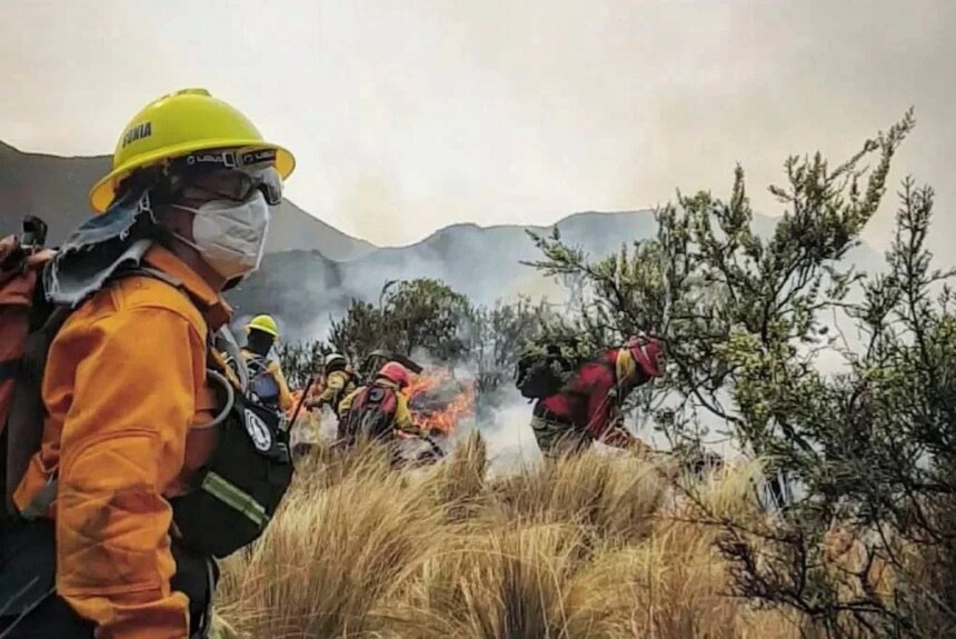 Córdoba: por el clima, advierten que el riesgo de incendios rurales es extremo