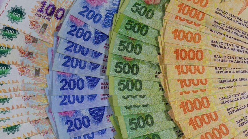 Los 4 FCI en pesos que más subieron en el año: la cobertura contra la inflación mantiene liderazgo