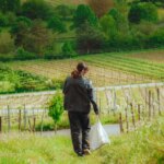 Vivir gratis en Alemania: buscan voluntarios y ofrecen alojamiento y comida a cambio de trabajar en el campo