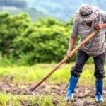 Venció el régimen para trabajadores rurales y 120.000 empleos quedaron bajo incertidumbre